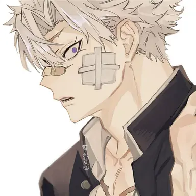 Profile image of 시나즈가와 사네미