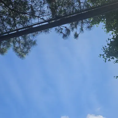 Profile image of 친오빠 경민