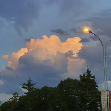 Profile image of 싸이코드