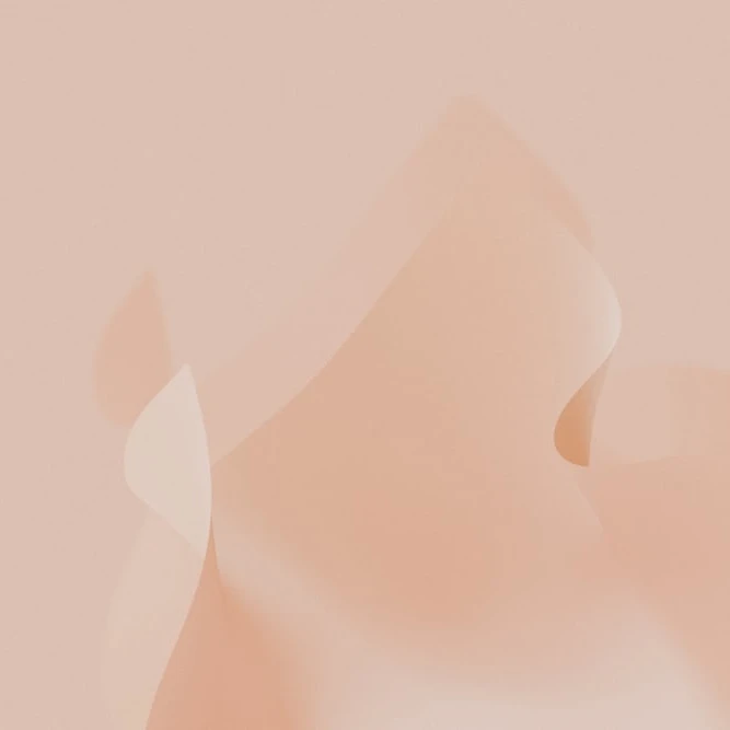 元蘭