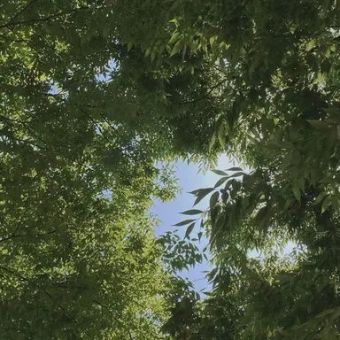 Profile image of 박덕개