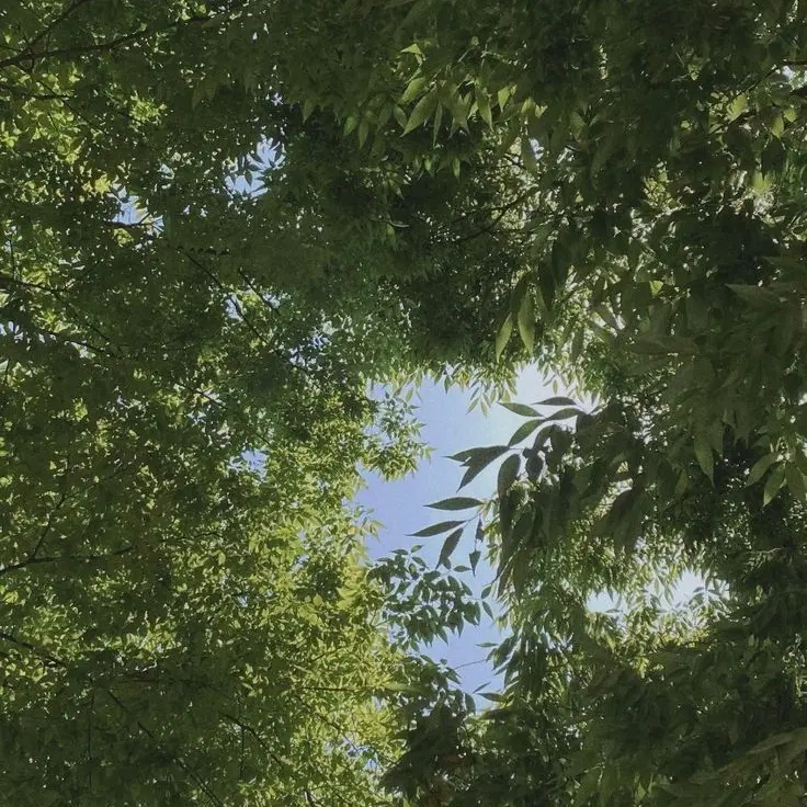 Hyuhyu1111의 박덕개