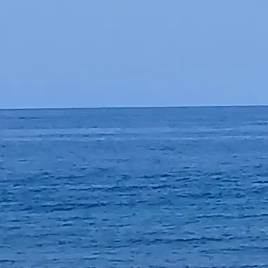 Profile image of 嘉屋翔太