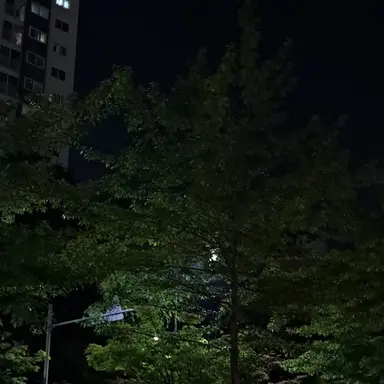 Profile image of 각별