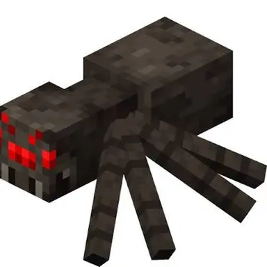 Profile image of 거미