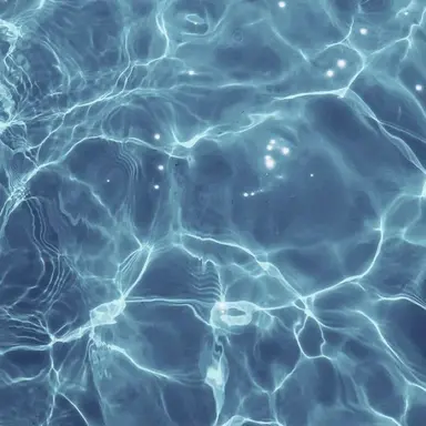 Profile image of 나이트메어