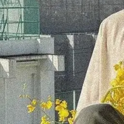 Profile image of はるあ