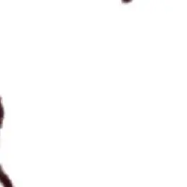 Profile image of 北片來人