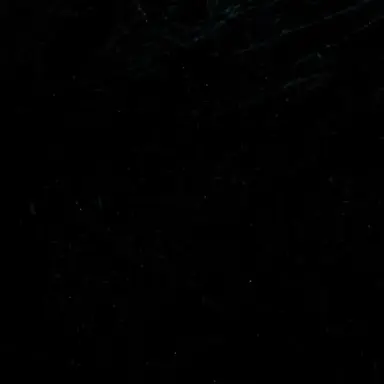 Profile image of 진욱