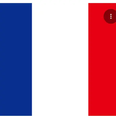 Profile image of フランス