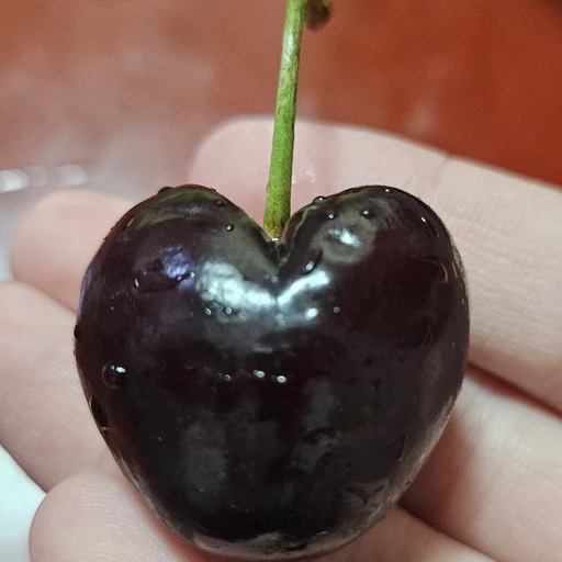 최승철