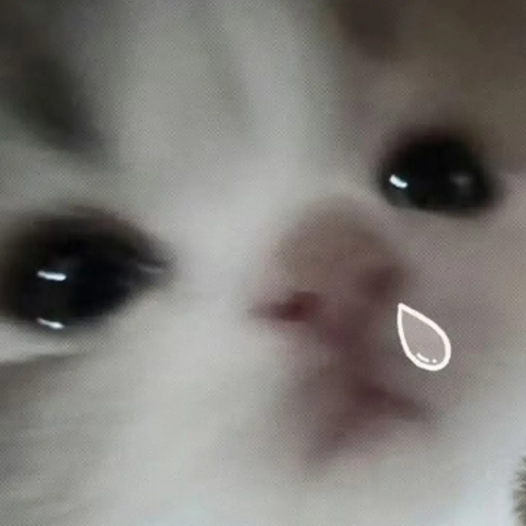 rq_10eq의 하 바보야? 빨리빨리 해
