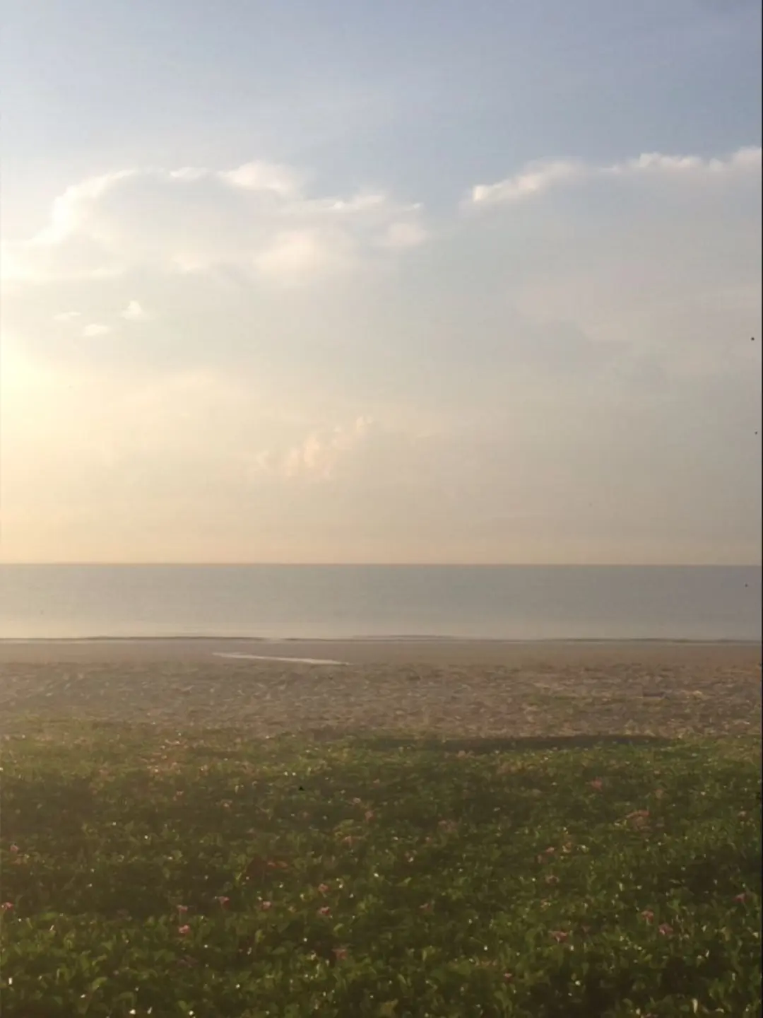 FlakyMint3382의 不器用な私だから。