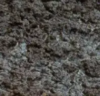 Profile image of Quicksand Pit