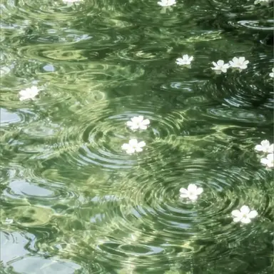 Profile image of 로보