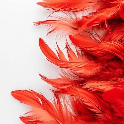 imu8595의 鳥人族のツガイ