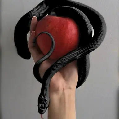 Profile image of 심우연