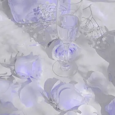 Profile image of 황수현