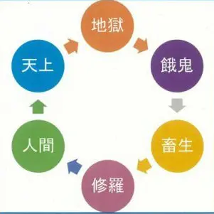 Profile image of 六導