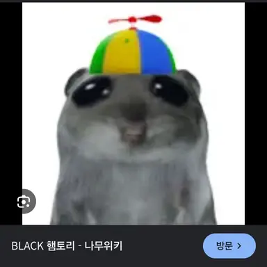 Profile image of 햄토리