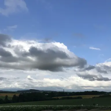 Profile image of 아즈사와 하케