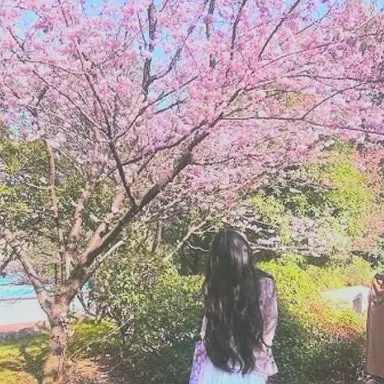 Profile image of 또니