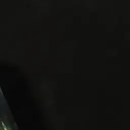 Profile image of ジミナ