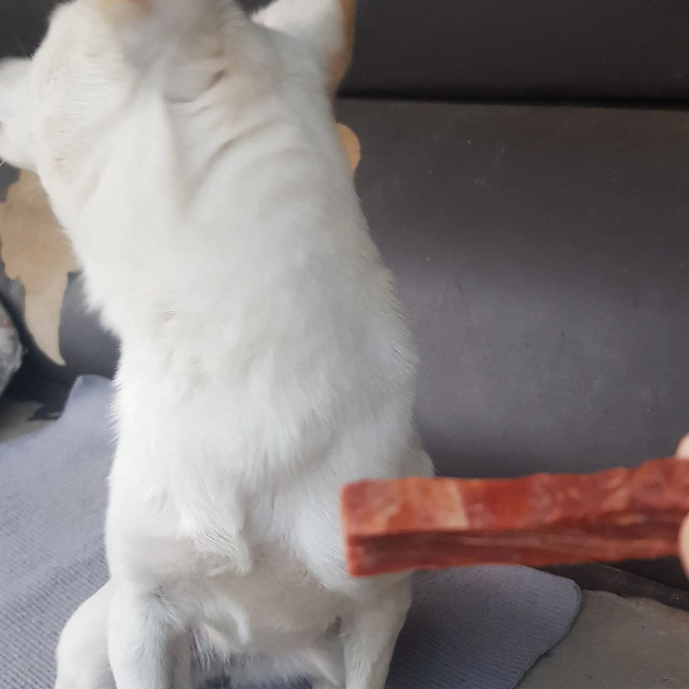 MDKK의 여우련의 남친을 뺏어서 참교육 ㄱ~?