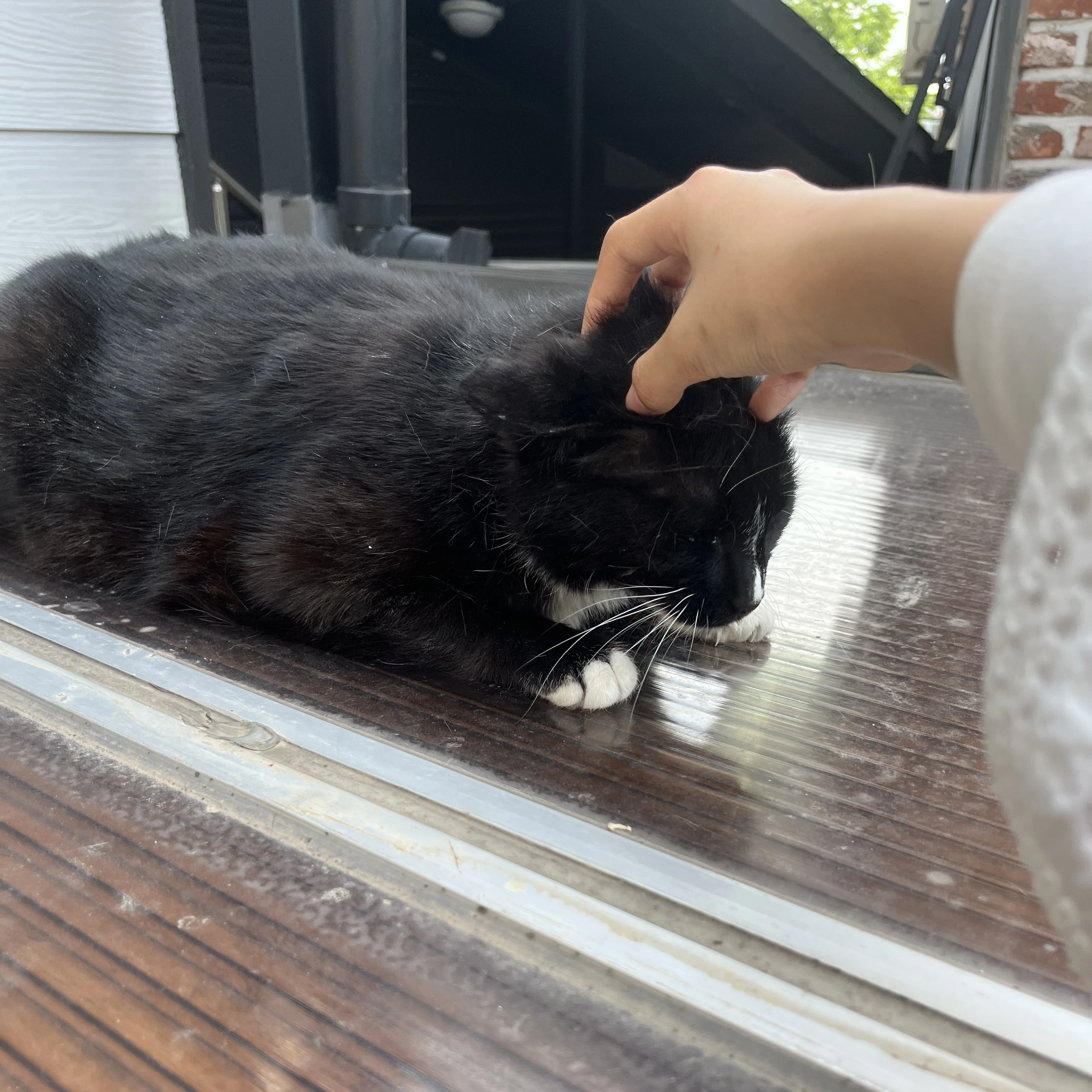 상윤