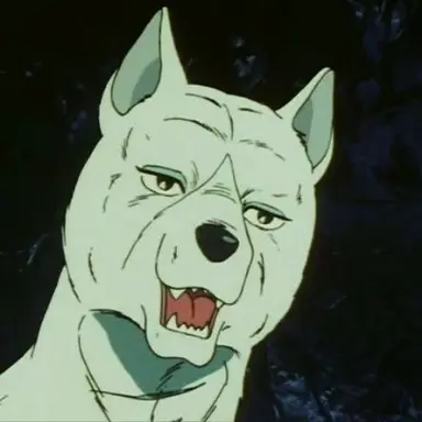 Profile image of 赤目