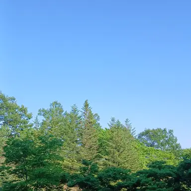 Profile image of 술취한 팀샐