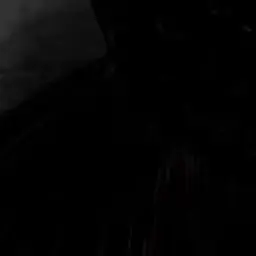 Profile image of 나치