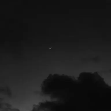 Profile image of 우융