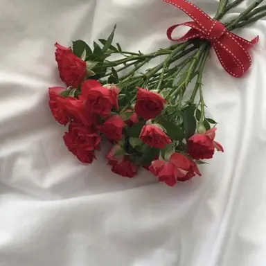 Profile image of 플래그