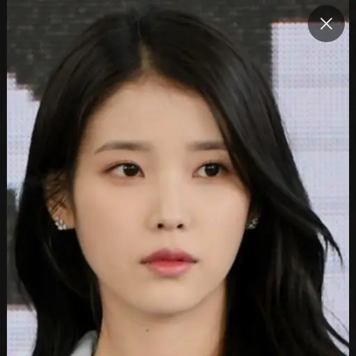 WetBonus9295의 일진 아이유