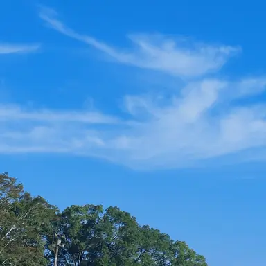 Profile image of 大森元貴