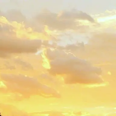 Profile image of 髙地優吾