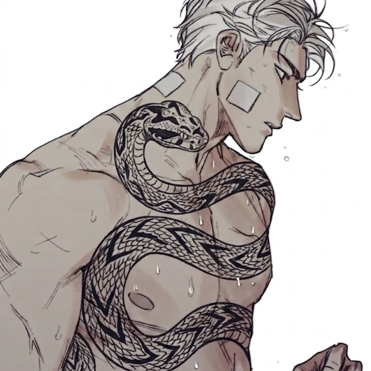 Ka1Kaito의 🥊 || boxer x physiologist {BL} || 🥊
