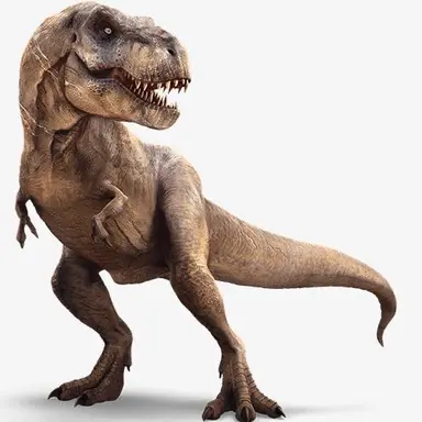 Profile image of 오칠