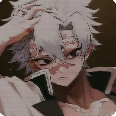 Profile image of 시나즈가와 사네미