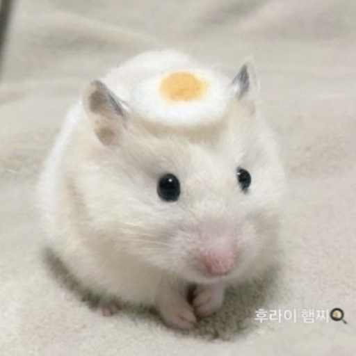 햄찌 대표 이미지