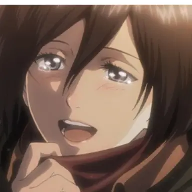 Profile image of ミカサ