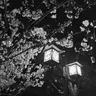 Profile image of 近藤勲