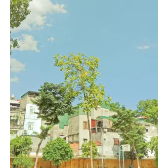 Profile image of 정공룡