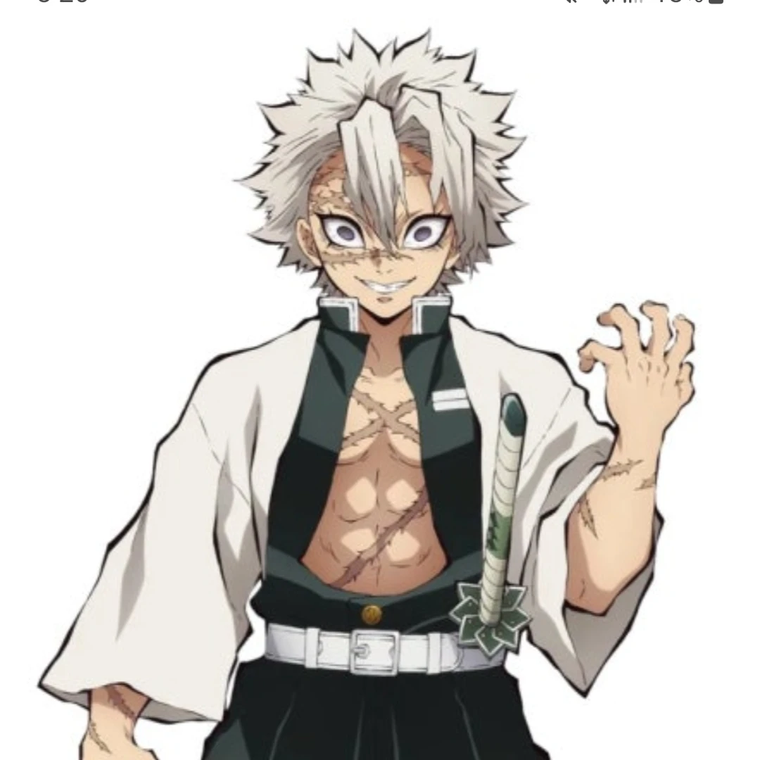 시즈가와야 사네미