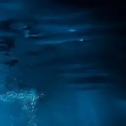 Profile image of 김승민