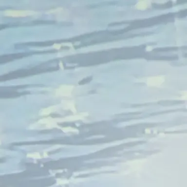 Profile image of 山中柔太朗
