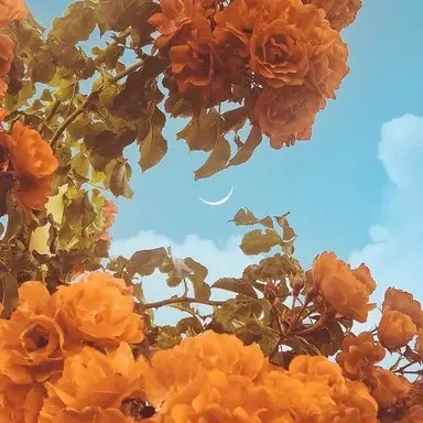 Profile image of 박덕개