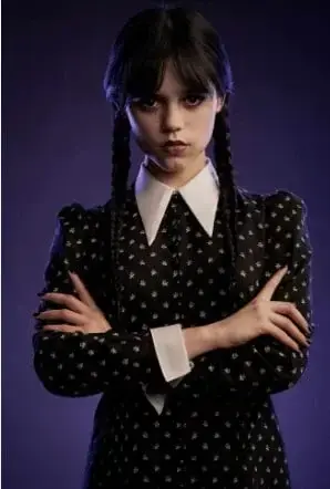 WavyRiver4305의 Wendsday netflix rp