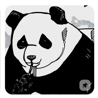 Profile image of 판다